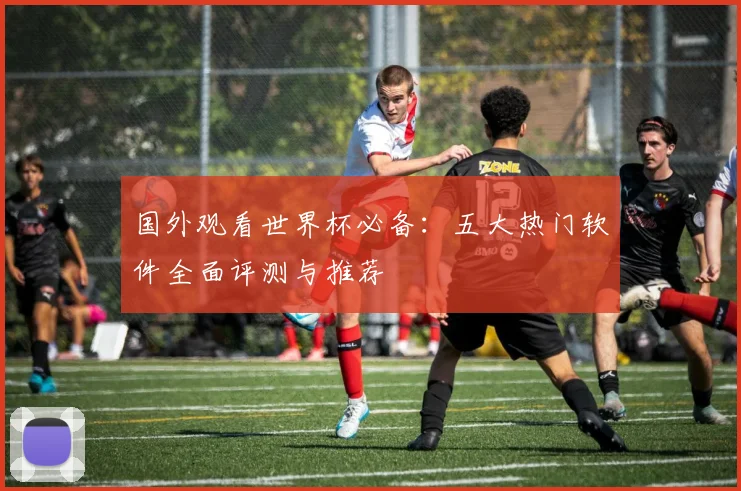国外观看世界杯必备：五大热门软件全面评测与推荐