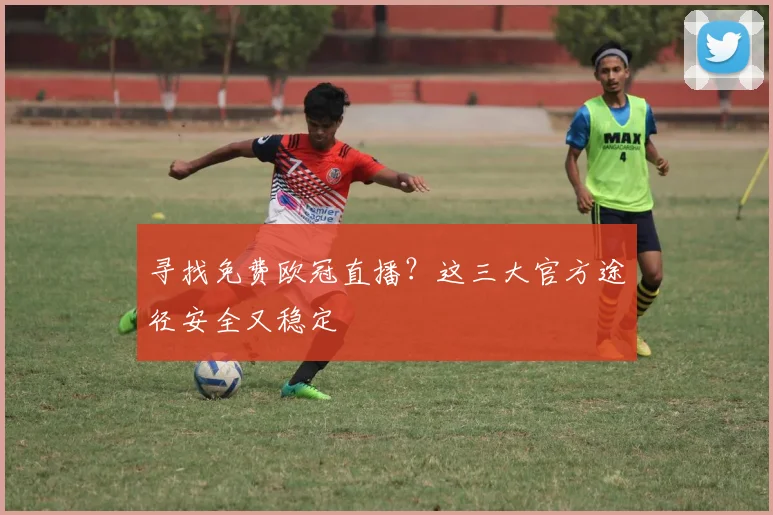 寻找免费欧冠直播？这三大官方途径安全又稳定