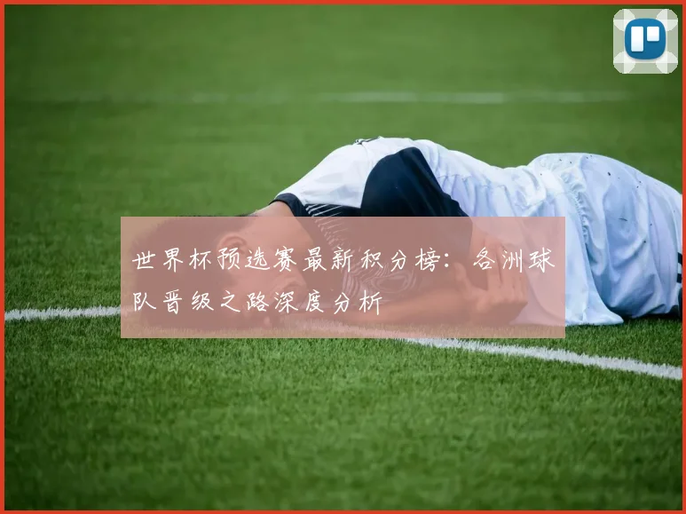 世界杯预选赛最新积分榜：各洲球队晋级之路深度分析