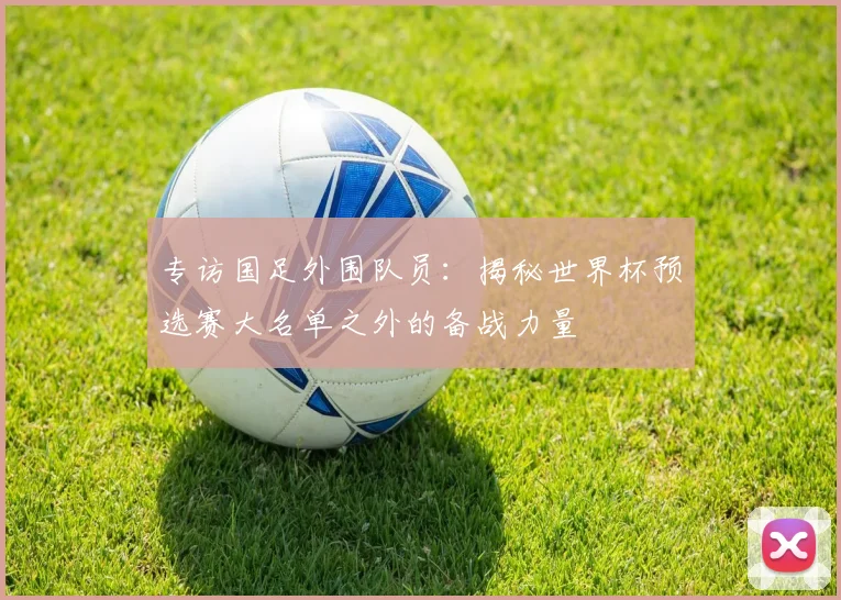 专访国足外围队员:揭秘世界杯预选赛大名单之外的备战力量
