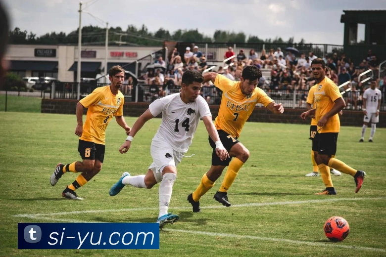 乐竞官网平台生态图